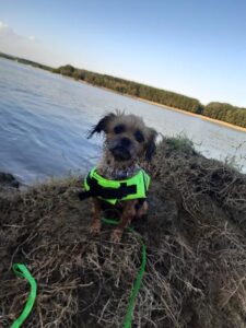 515371626_1108572937761306_719156784573519908_n