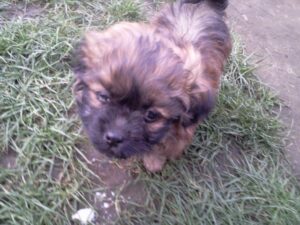 515406220_547453558334631_4553760710445192113_n