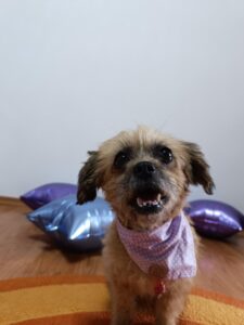 515433851_1247138383486438_2311239615052129311_n