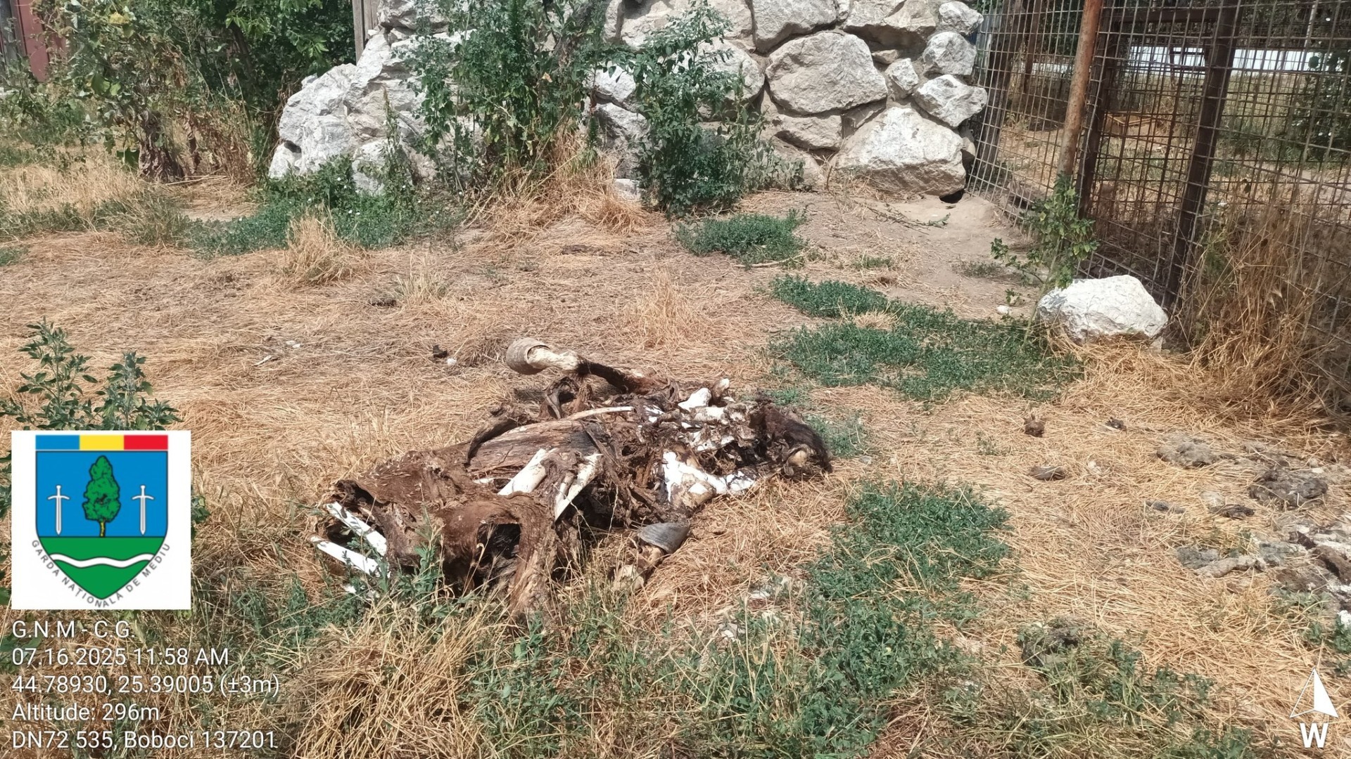 515491189_1192457969578850_8699306528517361623_n