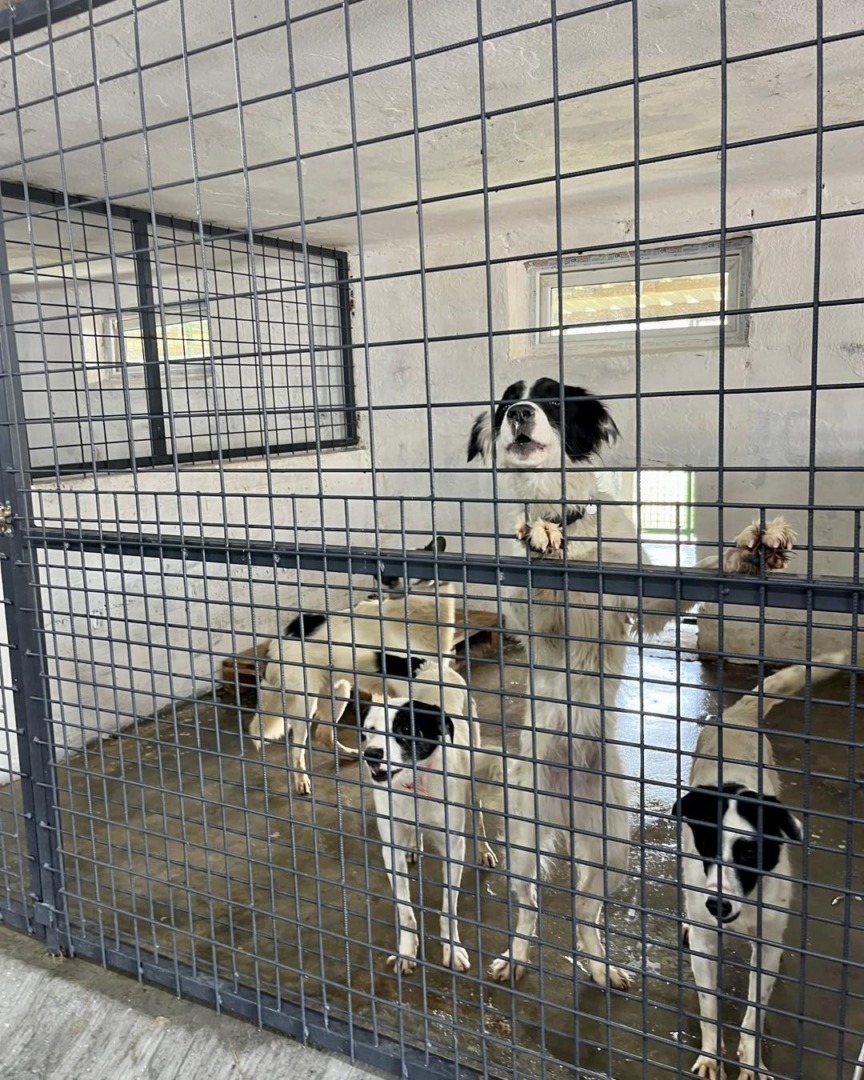 515502218_1077768274508309_4635918204224850556_n