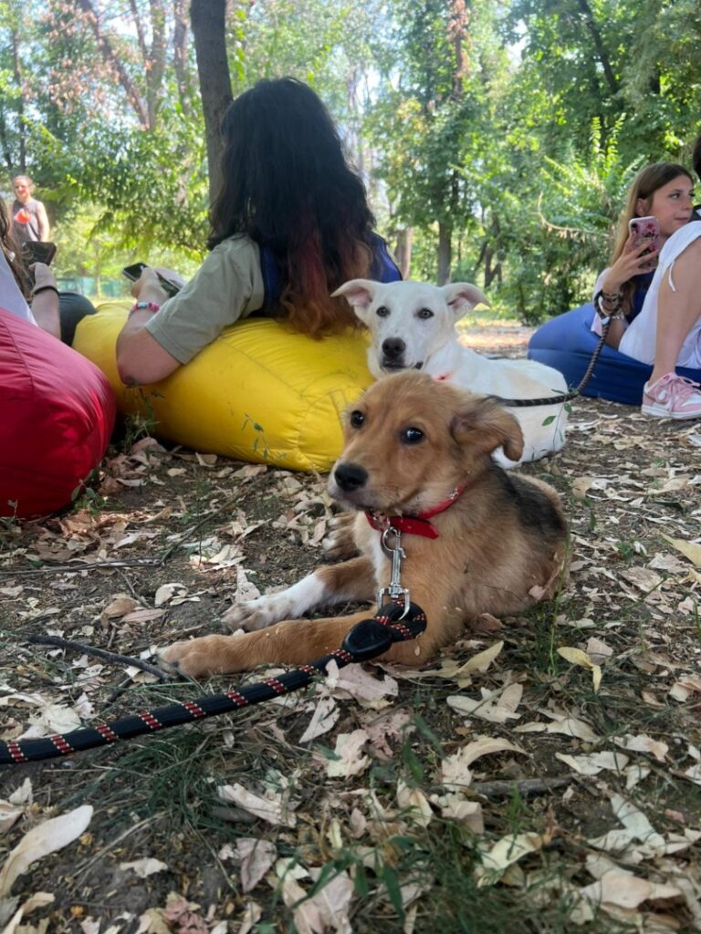 515516194_1075687731383030_4543621749011849206_n