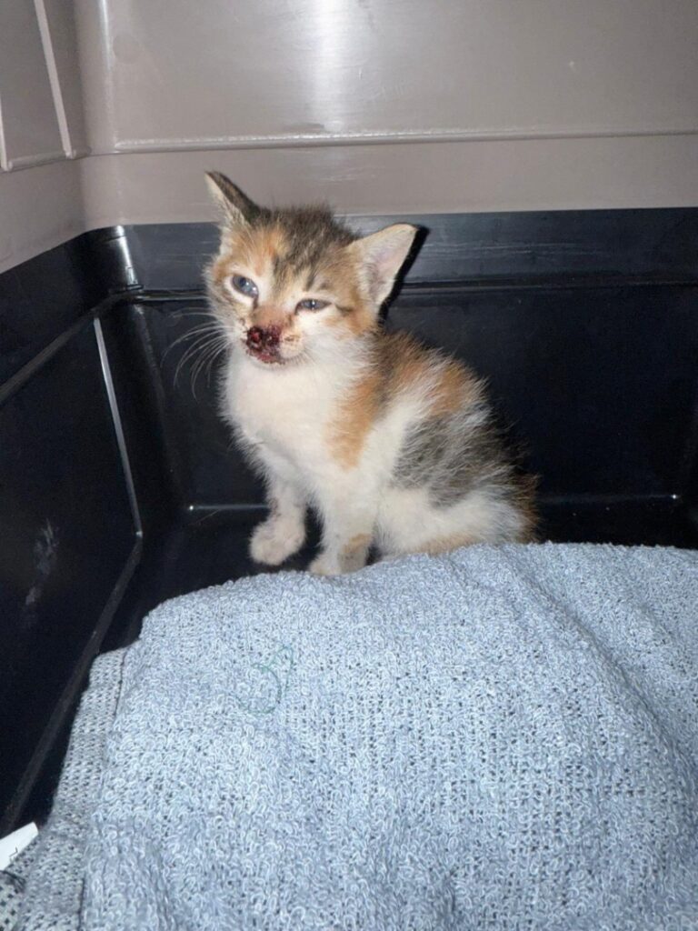 515574468_748175577579070_3685420505381570616_n