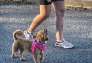 515627036_1451512235999186_6193603751502394125_n