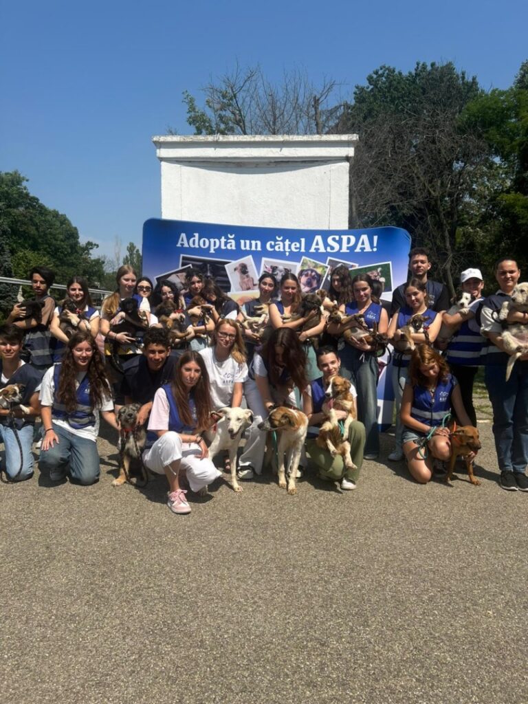 515683717_1075687718049698_5139521489518716047_n