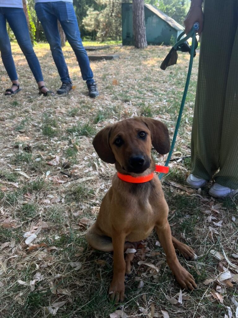 515899769_1075687688049701_7119643025740657807_n