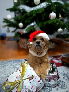 515918598_1090737053153873_6366178305319319681_n