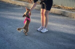 515986629_1110210254355719_6442449240676374249_n