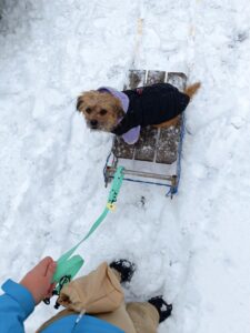 516103060_1131148908832371_2132644537515368086_n