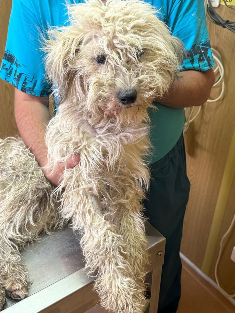 516226896_1284715703226139_8783614485151718613_n