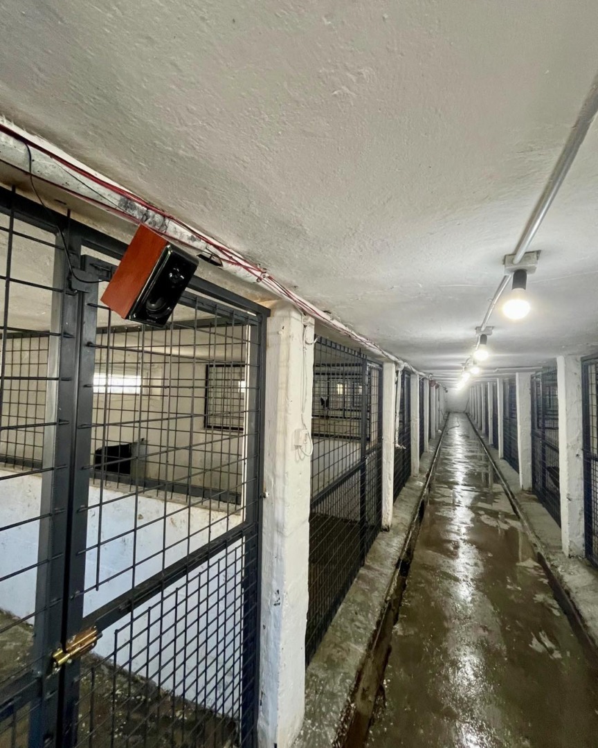 516295553_1077768057841664_7586809977075881254_n