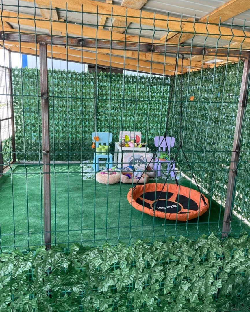 516517405_1078535184431618_4744322835602690174_n