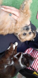 516543603_1449329099847025_6952805142299027588_n