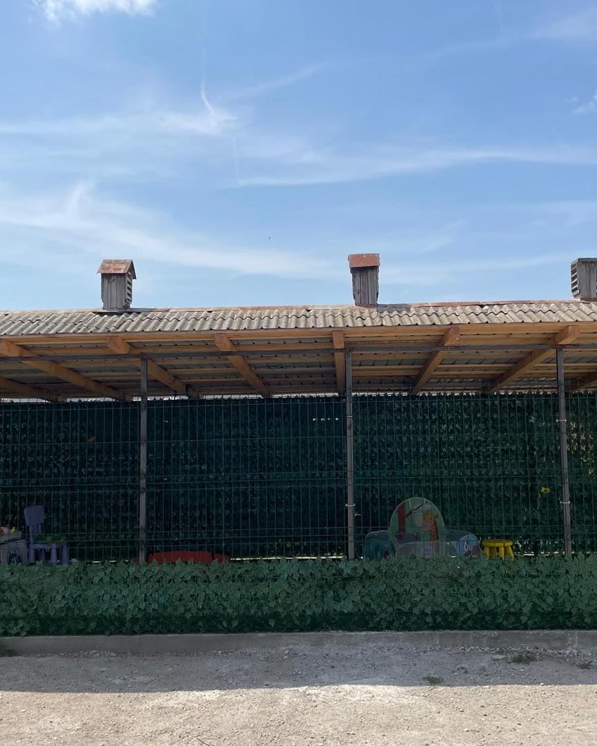 516736827_1078535171098286_3598495104684996947_n