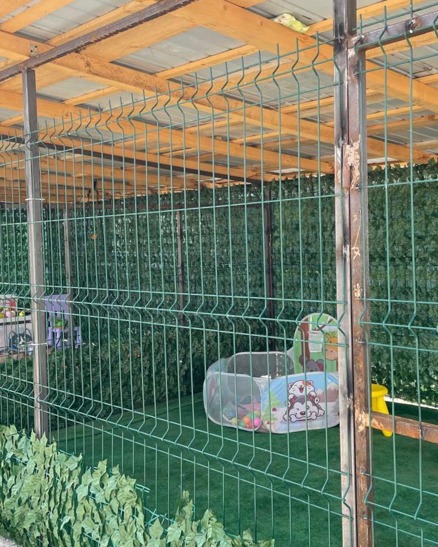 516939664_1078535141098289_8009200057942669787_n