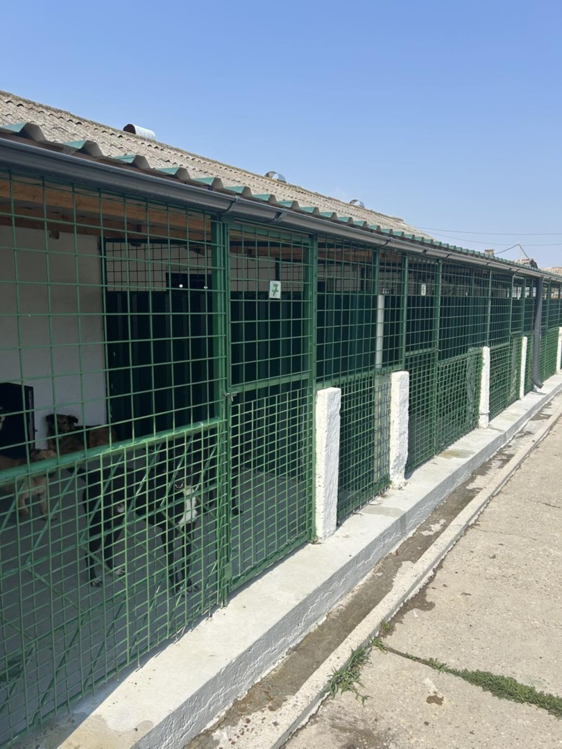 516957267_1077768097841660_3205046167863191298_n