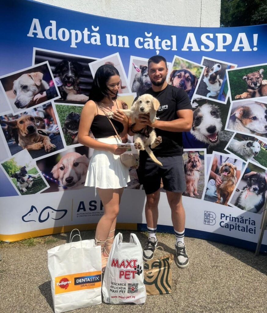 516959480_1075687201383083_1340658125835761987_n