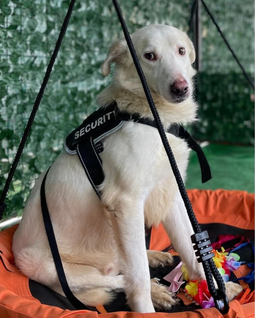 517182029_1078535161098287_8620937905267776462_n