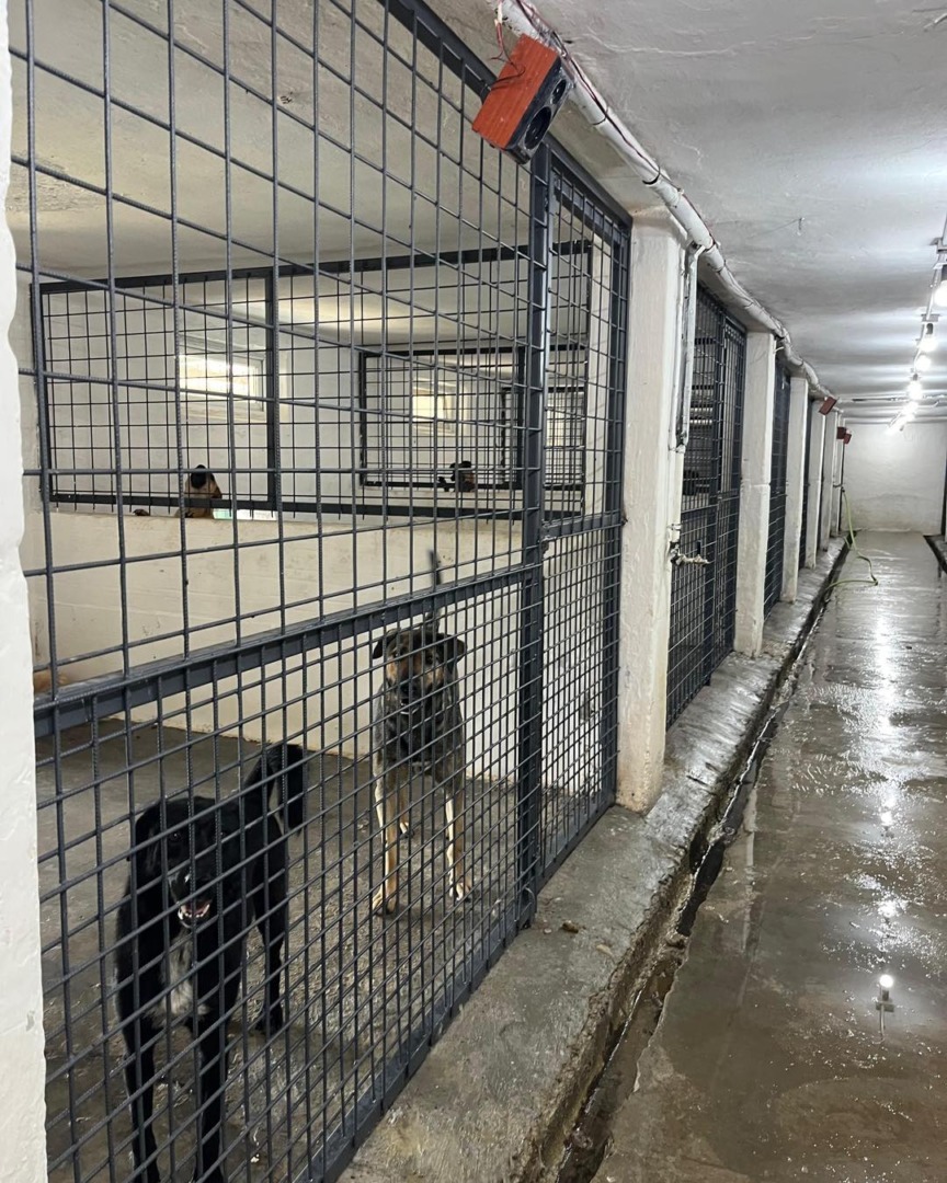 517389843_1077768277841642_1800393595294710829_n