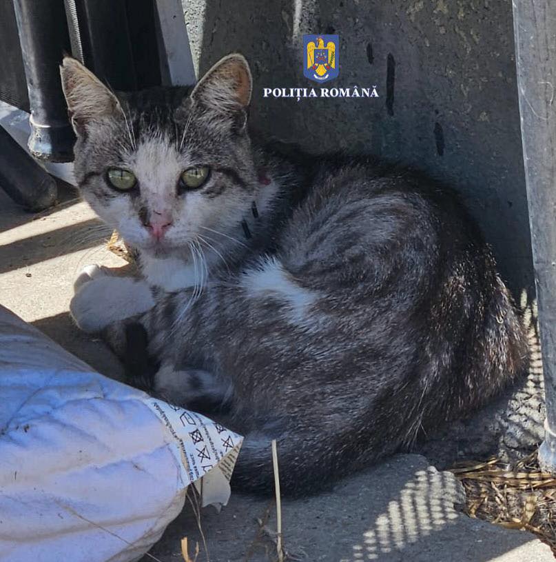 517629479_1038635745106033_7308390045119548602_n