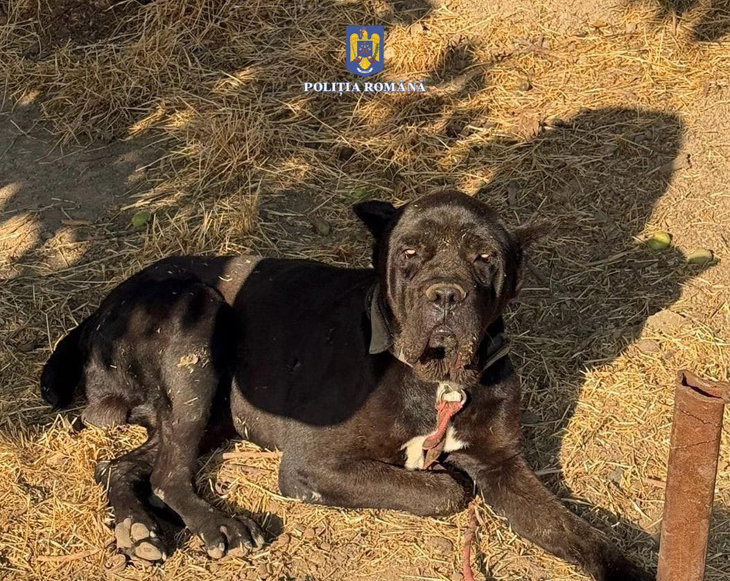 518078332_1038635735106034_2602376743350741964_n