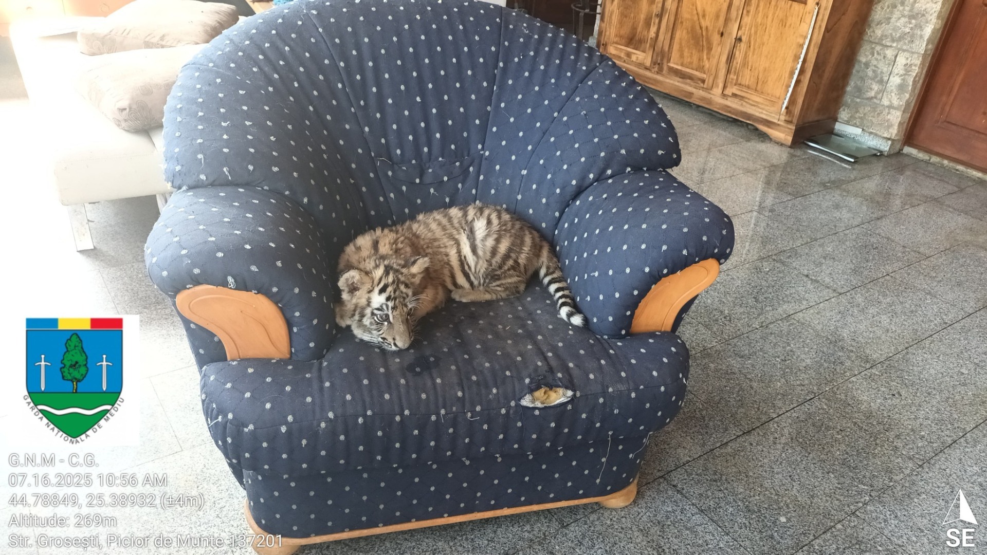 518121109_1192458056245508_1163142922724847441_n