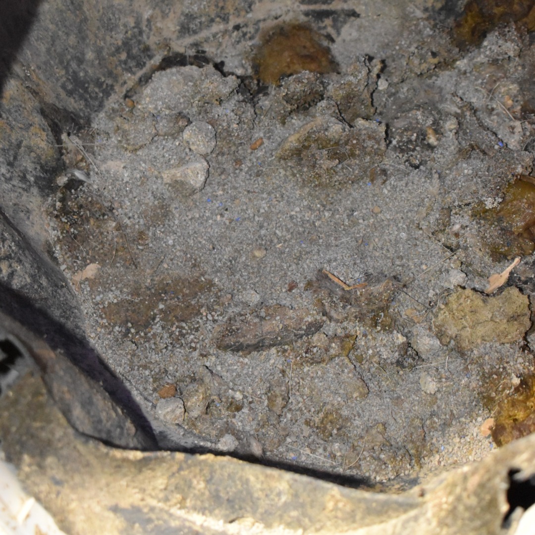 518155890_1133459308828690_5454852398832836681_n