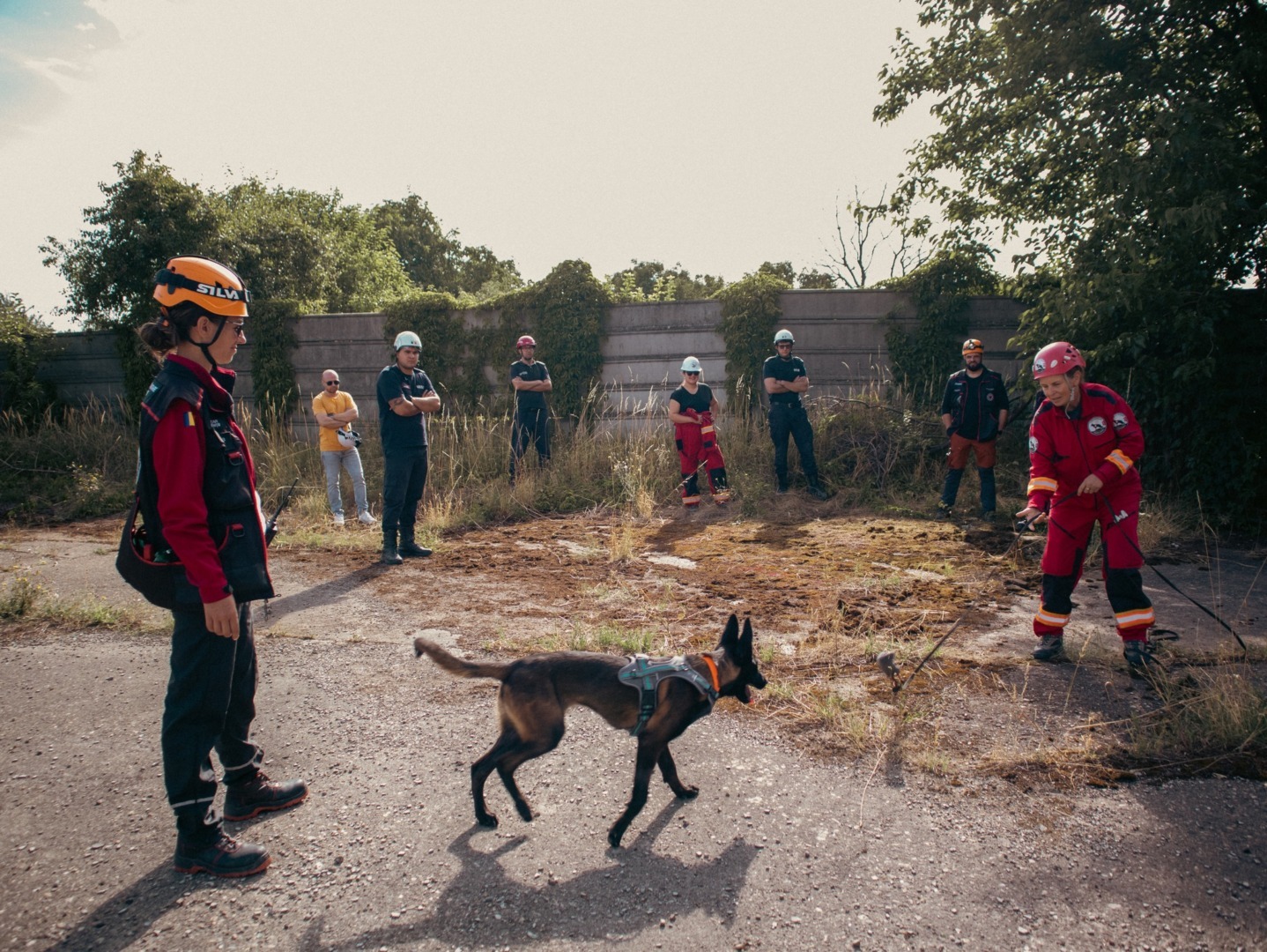 518228273_1162257502612253_8538291297063063989_n