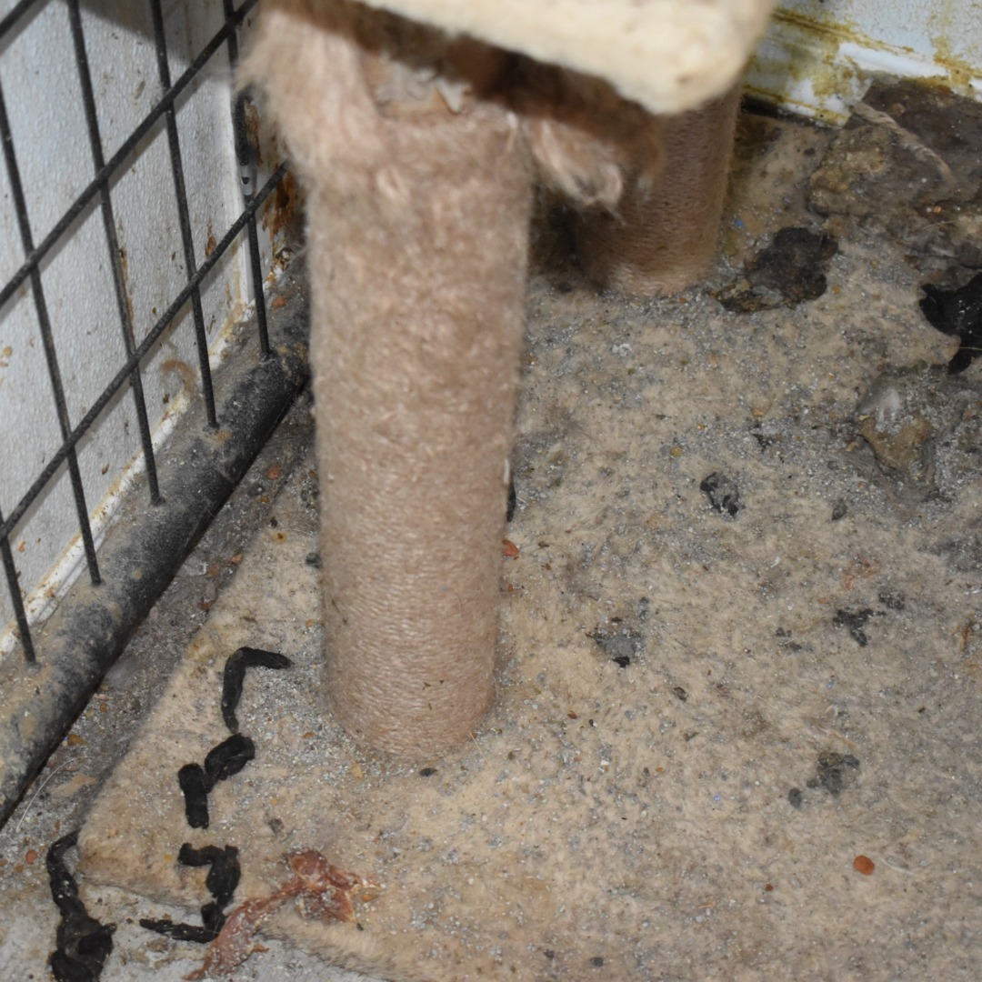 518229156_1133459365495351_2812366172057740777_n