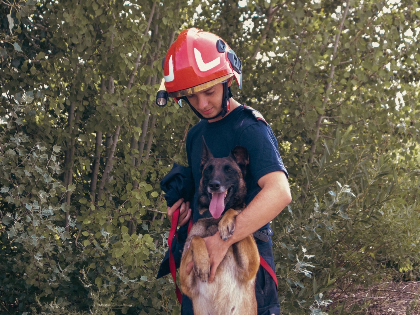 518250664_1162257725945564_6509750316383698802_n