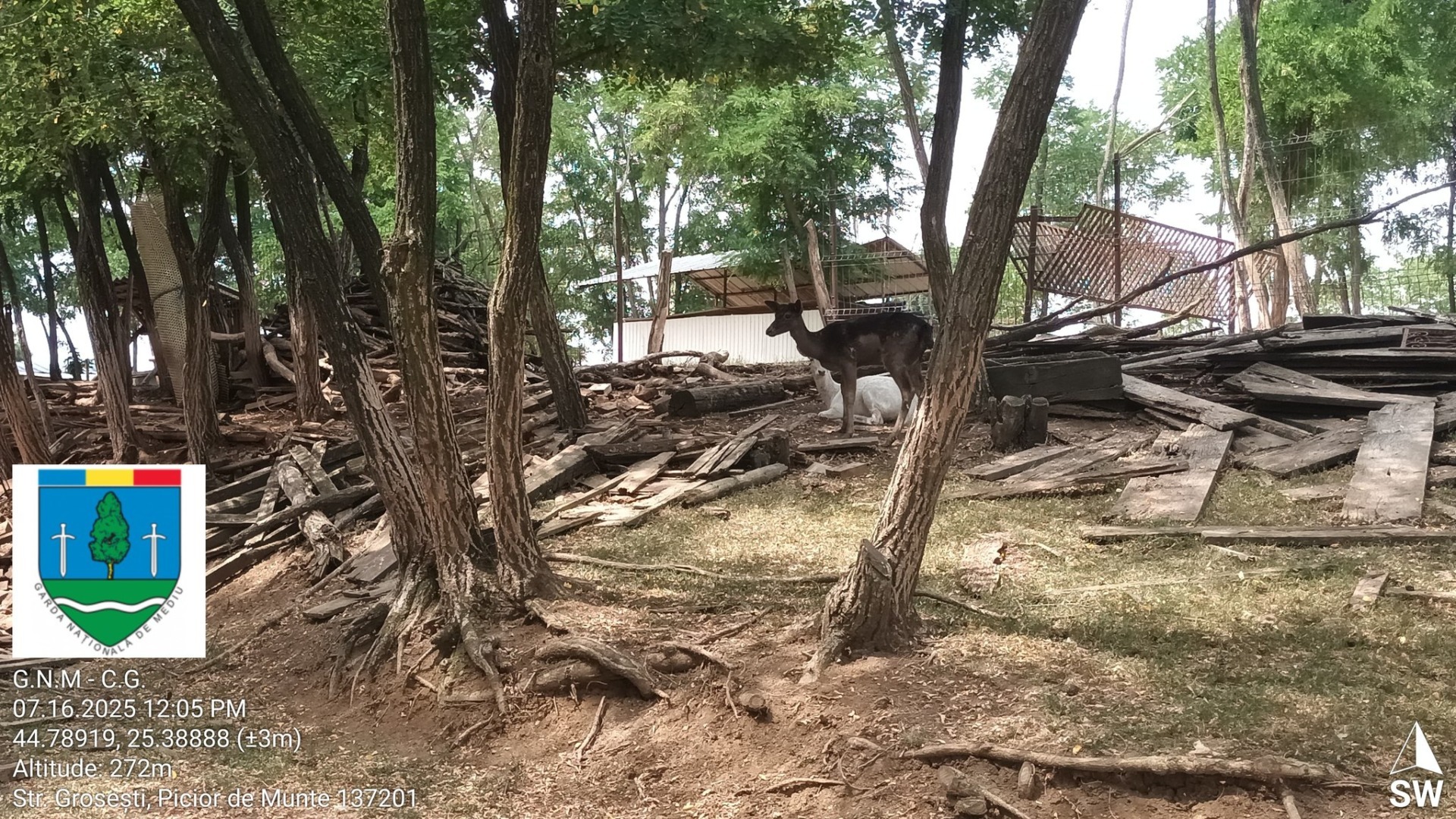 518251981_1192457639578883_1060557826414222313_n