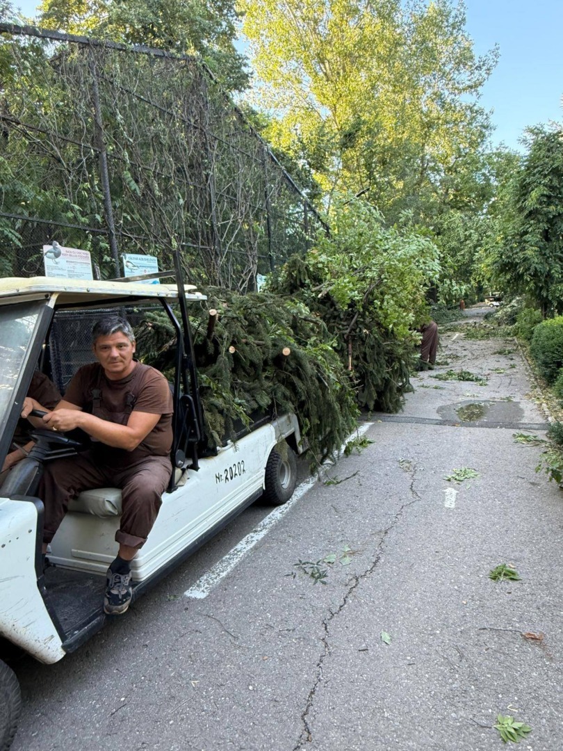 518260260_1069567538684283_46503490638194834_n