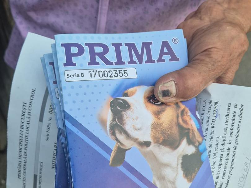 518293649_1084525043832632_8480383425392376550_n