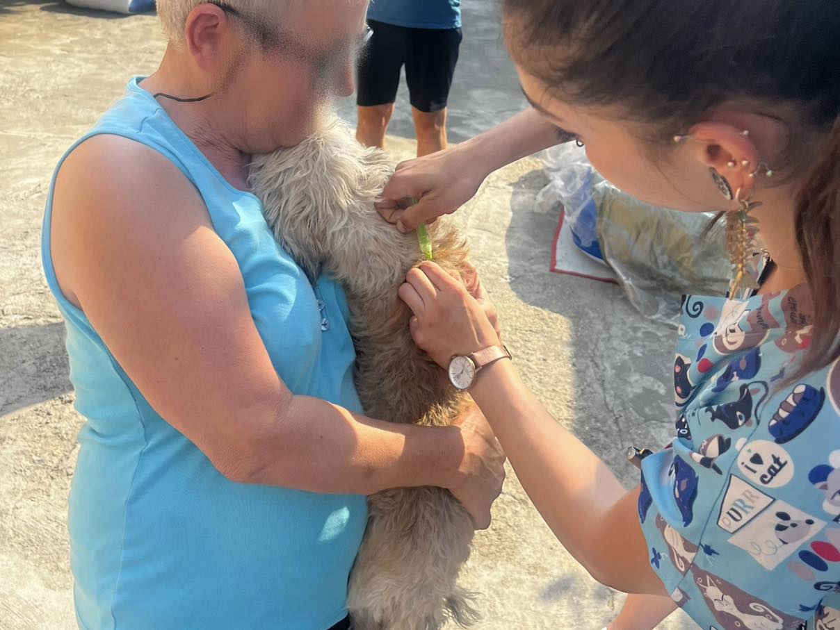 518379331_1084525040499299_8523354314787216882_n