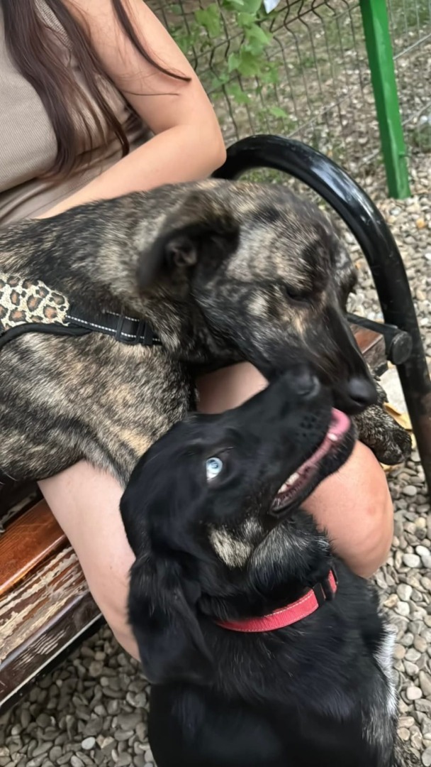 518389794_1086288766989593_2090677647307058030_n