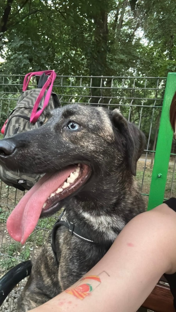 518390384_1086288793656257_8438394425992732831_n