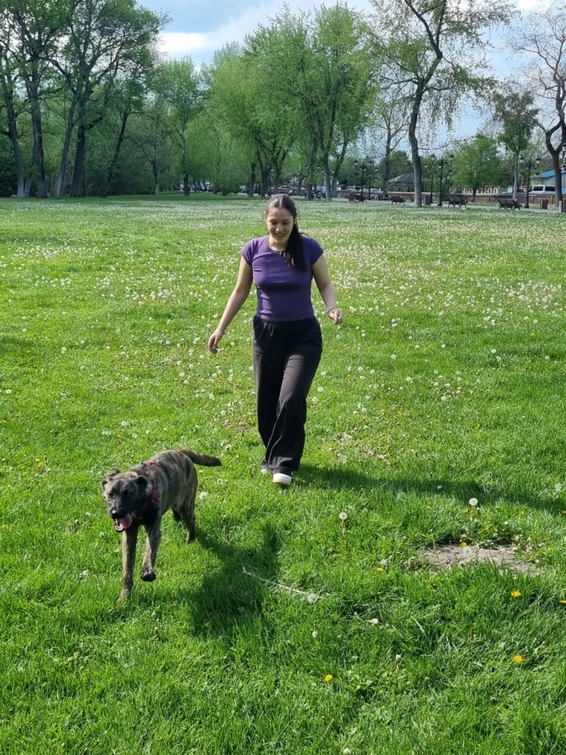 518392035_1086288923656244_7280856082266151717_n