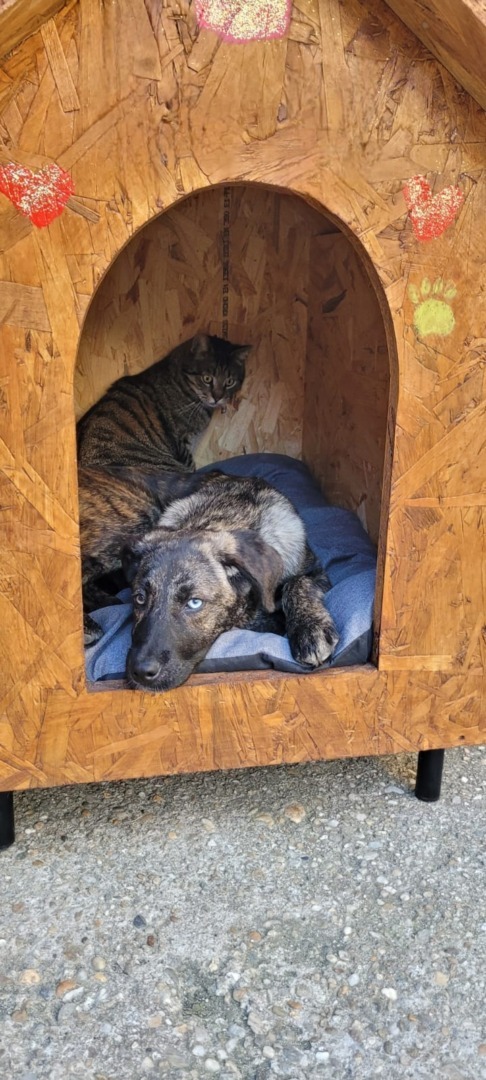 518403098_1086288780322925_7417638583160201455_n