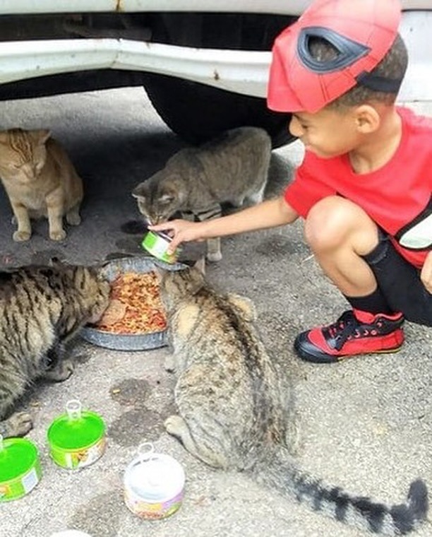 518800333_18280773850285823_7514584391764687796_n