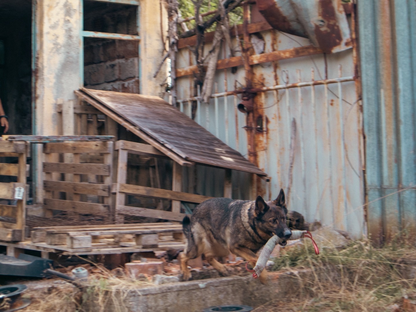 518804135_1162257412612262_8551868112315714823_n