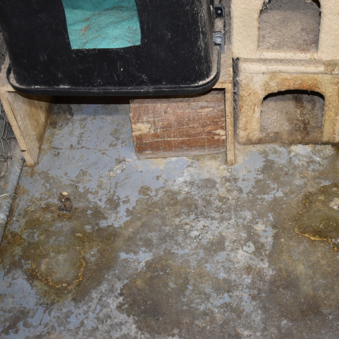 519398660_1133459258828695_8401654048609744724_n