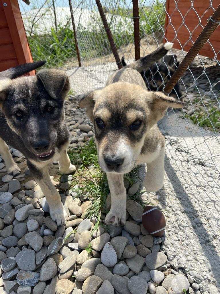 51b73671-36ac-4344-ab7d-f2ca20d5fa22