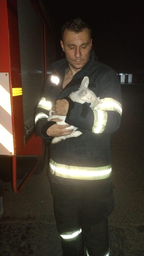 520024135_1060588489587343_3758320945928312337_n