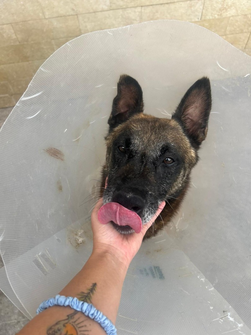 520211359_761922782871016_8257592399432310234_n