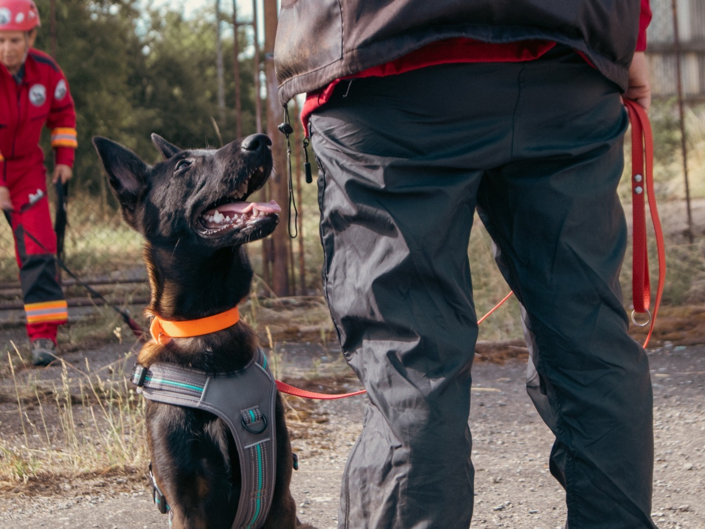 520295878_1162257382612265_2707496871388110016_n