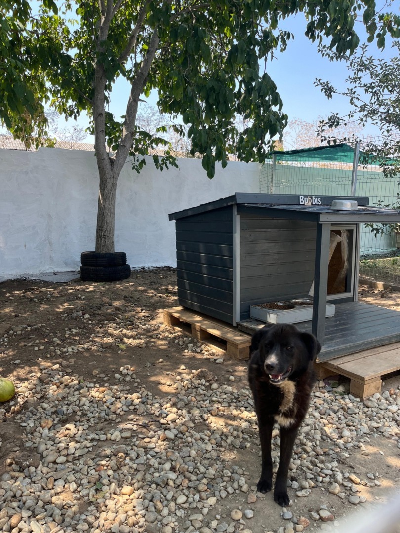 520336599_1089126273372509_1691416897546360133_n