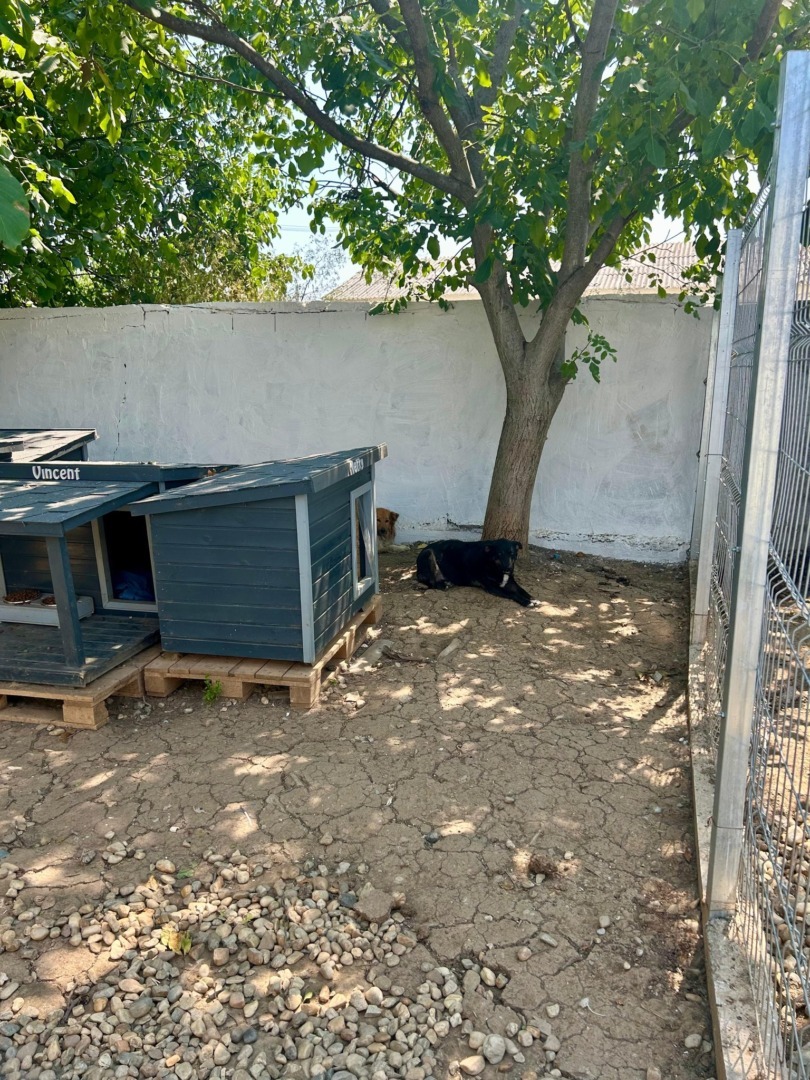 520408073_1089085510043252_6140760085474319404_n