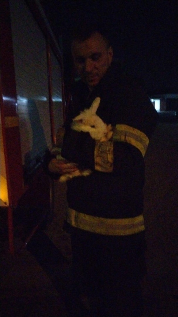 520580049_1060588482920677_4654067618637314958_n