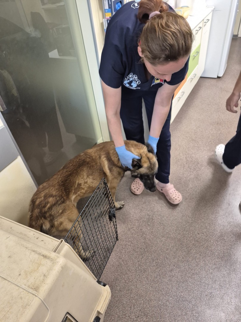 520591408_761922772871017_3395304667363752312_n