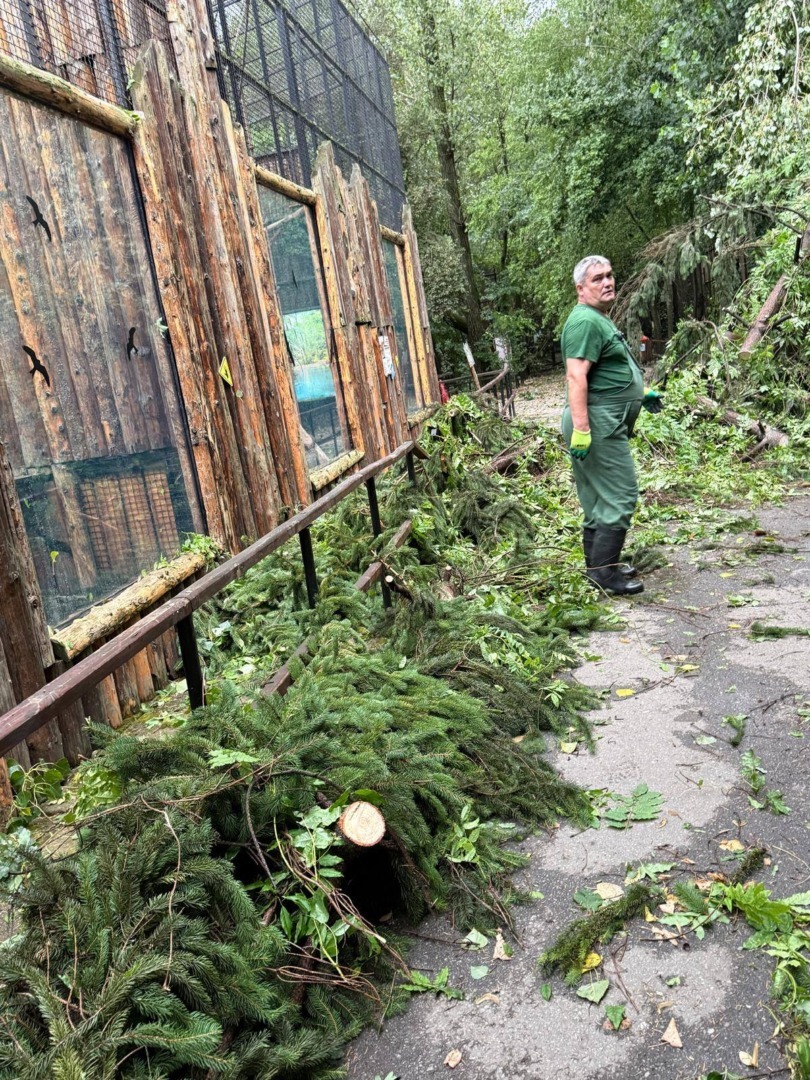 520821697_1069567588684278_8383720588683232651_n